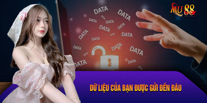Dữ Liệu Của Bạn Được Gửi Đến Đâu