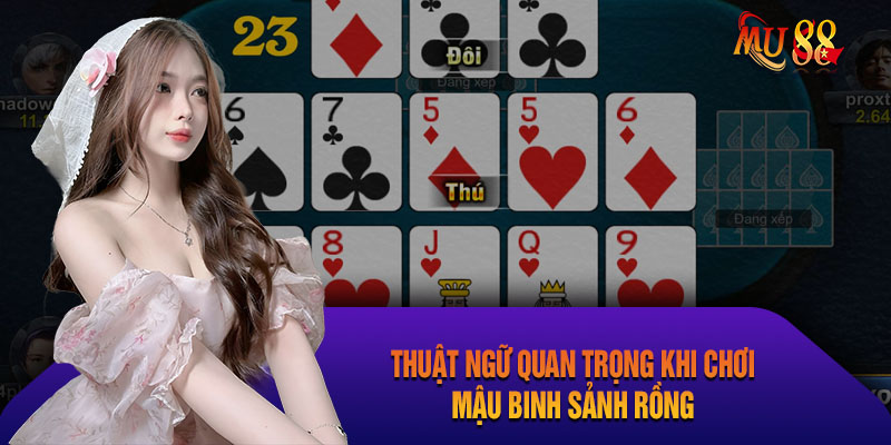 Thuật ngữ trong game Mậu Binh cơ bản bạn nên biết